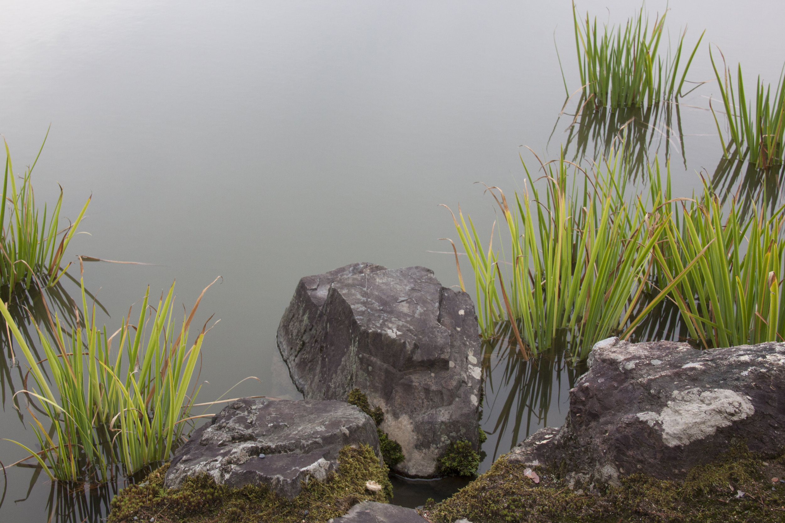 Japan_092016_3071_edit.jpg