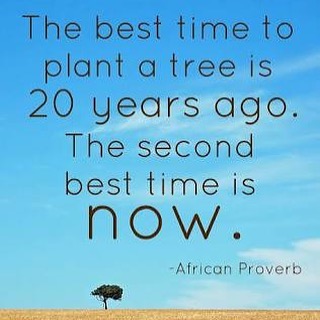 A very true quote by an African proverb.
Trees take time to grow to their ideal height, so stop dreaming of that time and start planting! 🌳🌳🌳. #stratfordtreesnursery #semiadvanced #treesforthefuture #trees #deciduoustrees #nativetrees