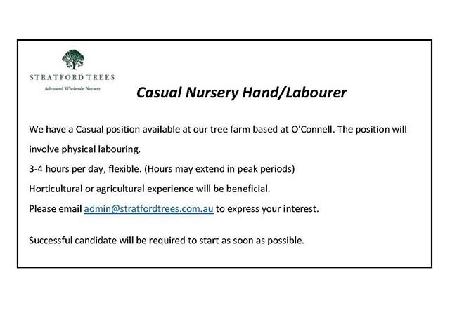 Looking for casual work???