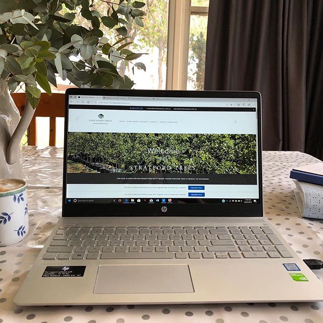 Here is a sneak peak of what is about to be launched! Yes, that&rsquo;s right, a NEW WEBSITE!

If at all you have any queries while we have no website running please contact us via email at sales@stratfordtrees.com.au or admin@stratfordtrees.com.au!
