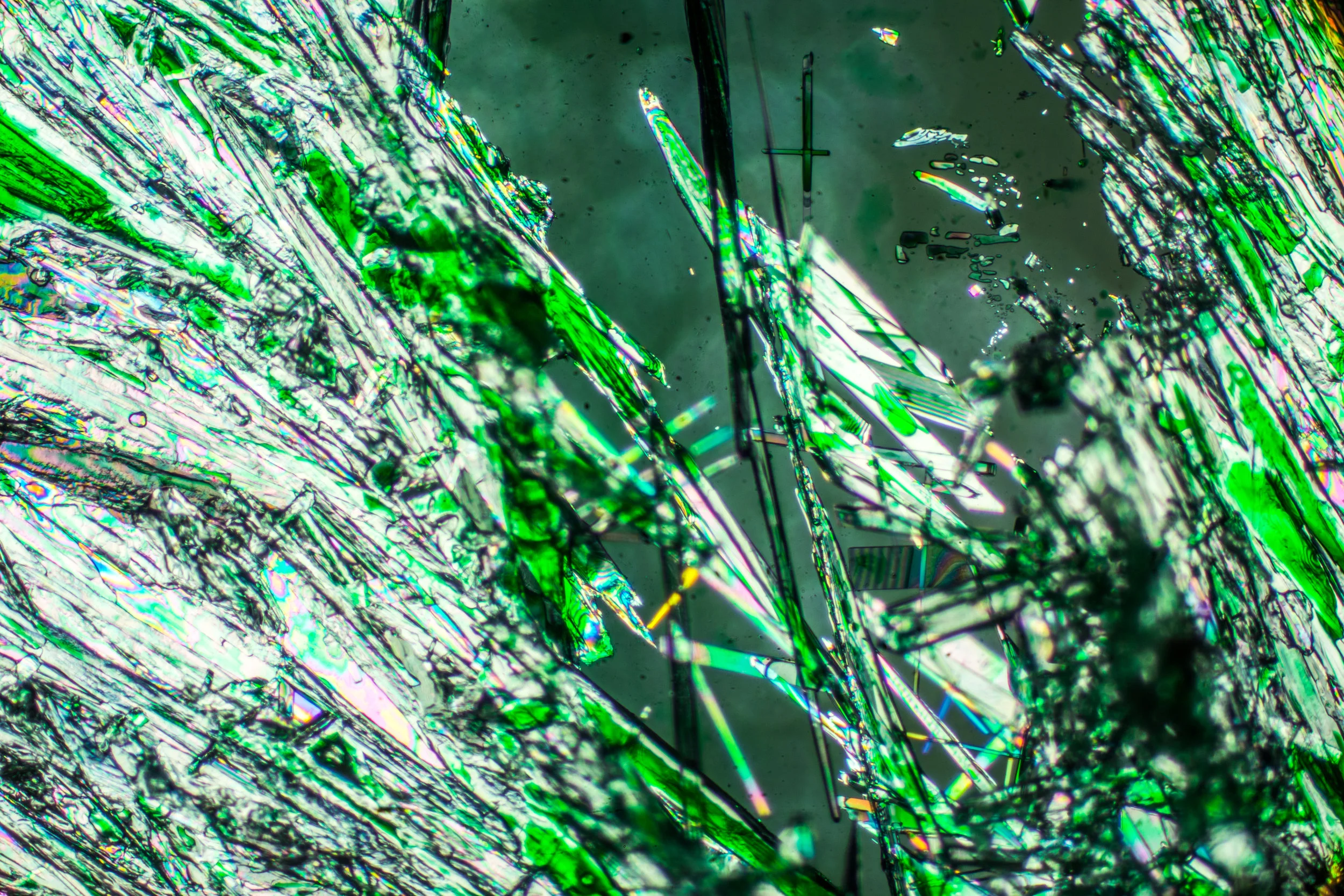 Microscopy_12.jpg