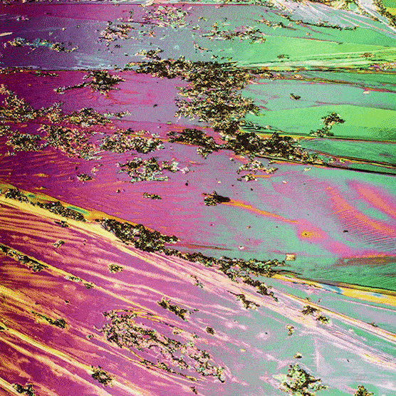 Liquid Crystal Photomicrograph of Urea