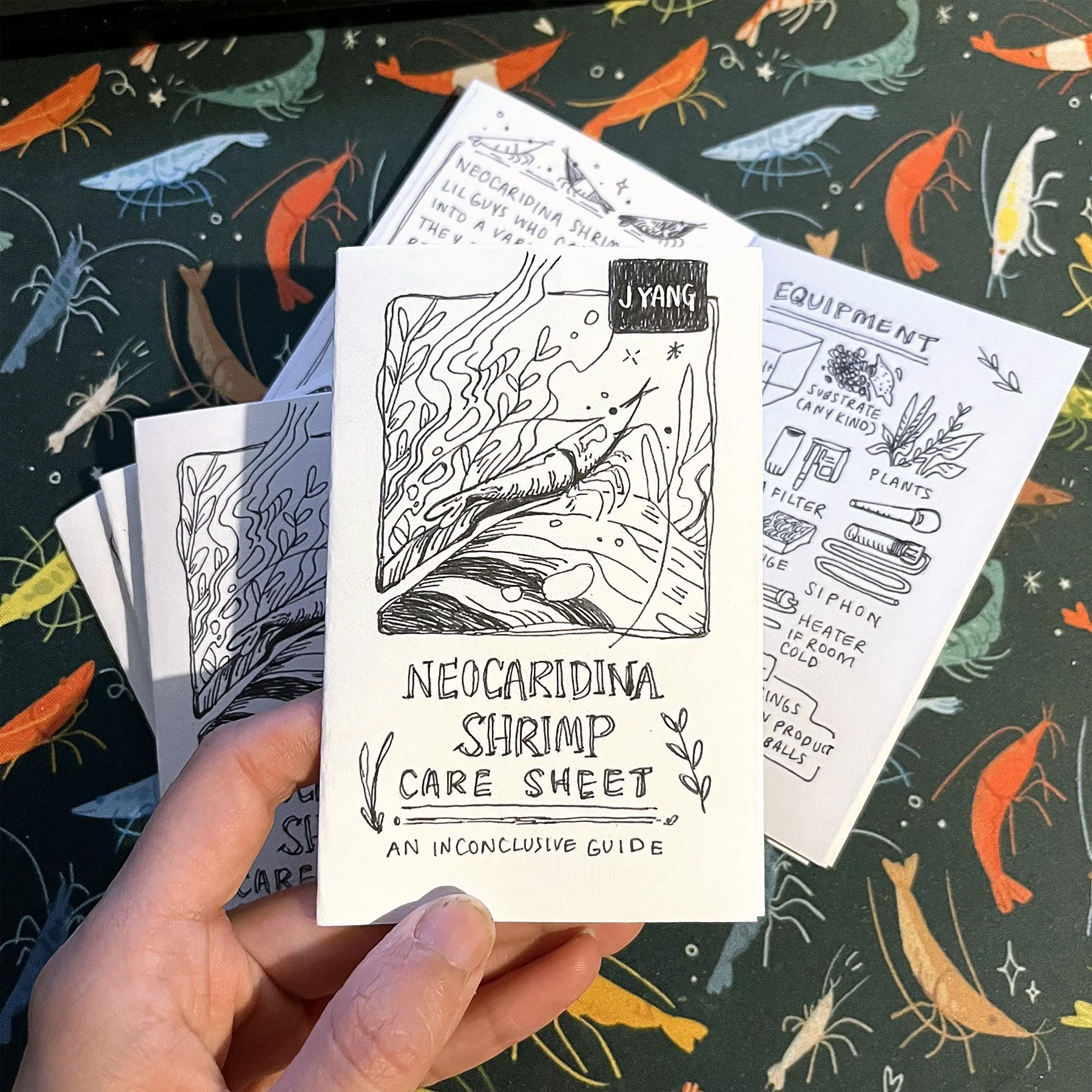 Shrimp Zine.jpg