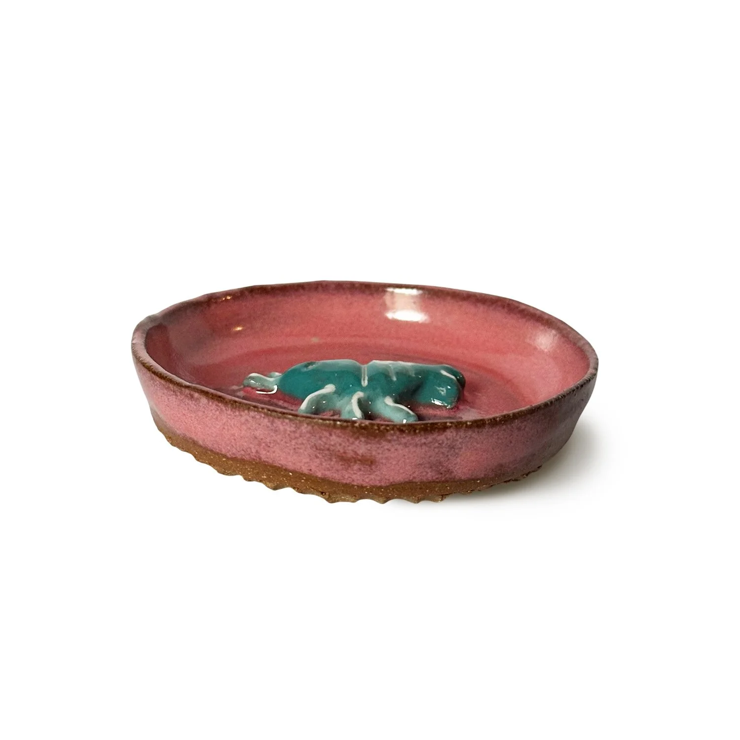 Pink Shraucer3.jpg
