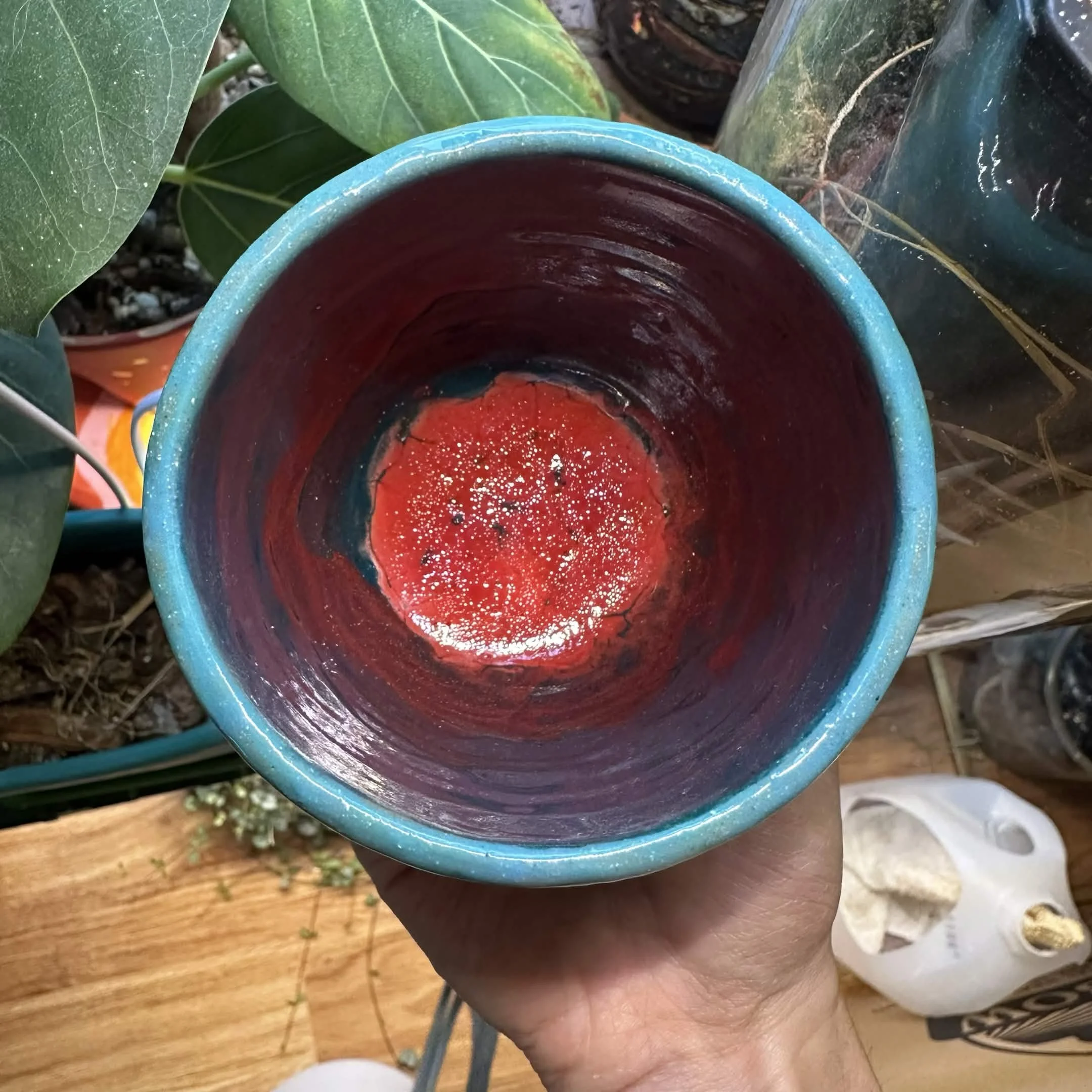 Cup1E.jpg
