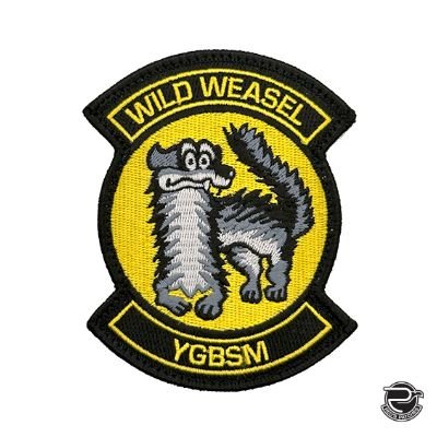 493 FS Wild Weasel