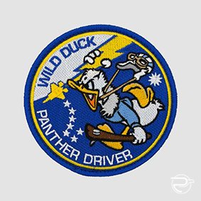309 FS