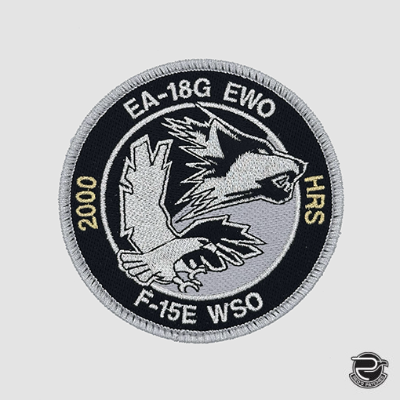 390 ECS EA-18G EWO/F-15E WSO 2000 HRS
