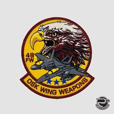 48 FW OSK Wing Weapons