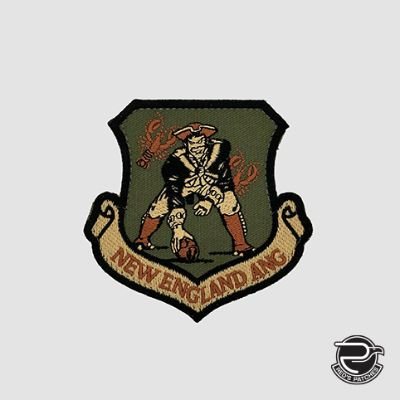 131 FS New England ANG Shield - ocp