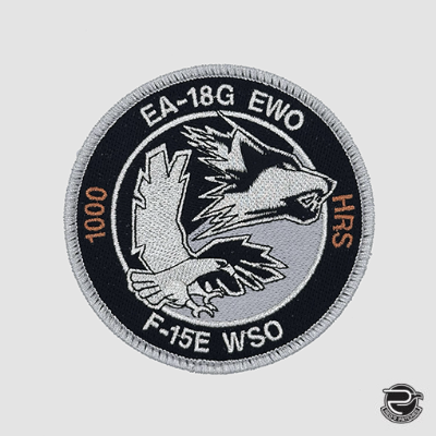 390 ECS EA-18G EWO/F-15E WSO 1000 HRS