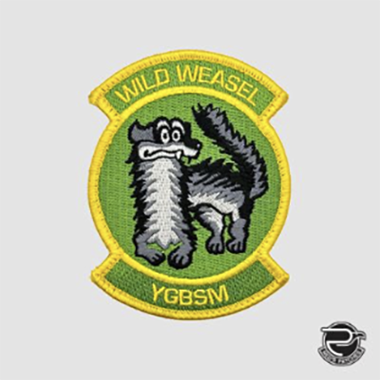 495 FS Wild Weasel