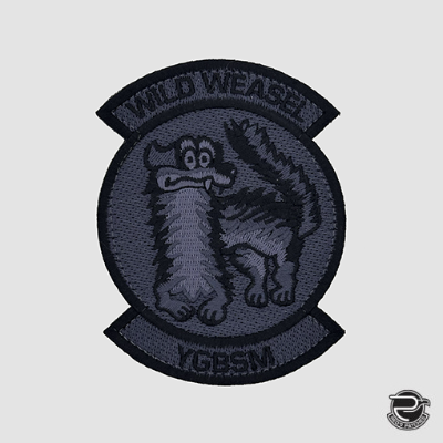 388 FW Wild Weasel Blacked Out