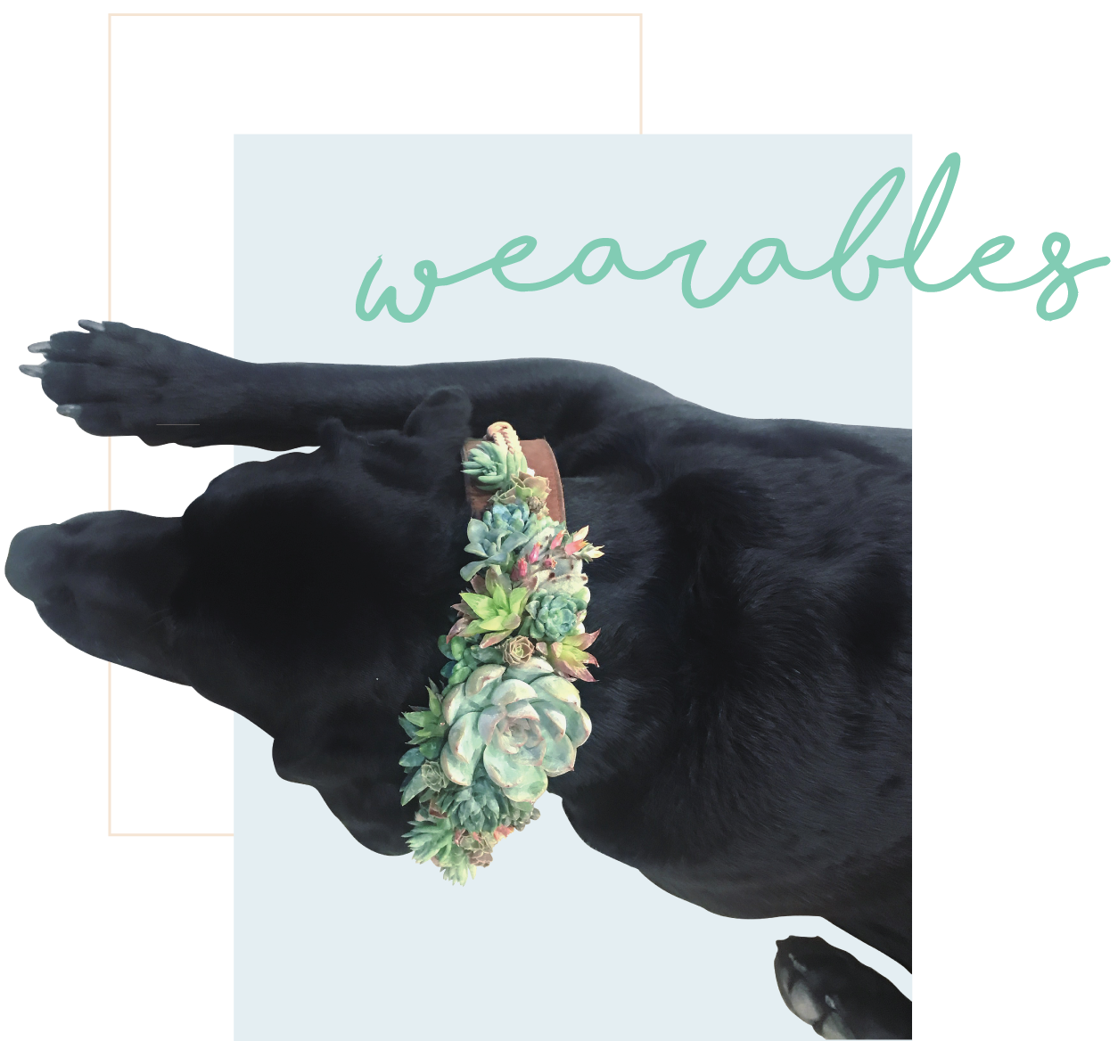 wearablesheader.png