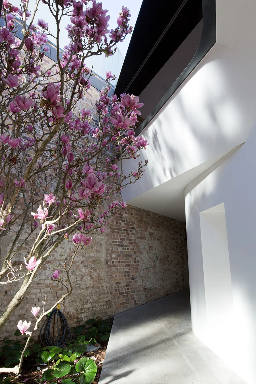 2279_scid_surry_hills_warehouse_1.jpg