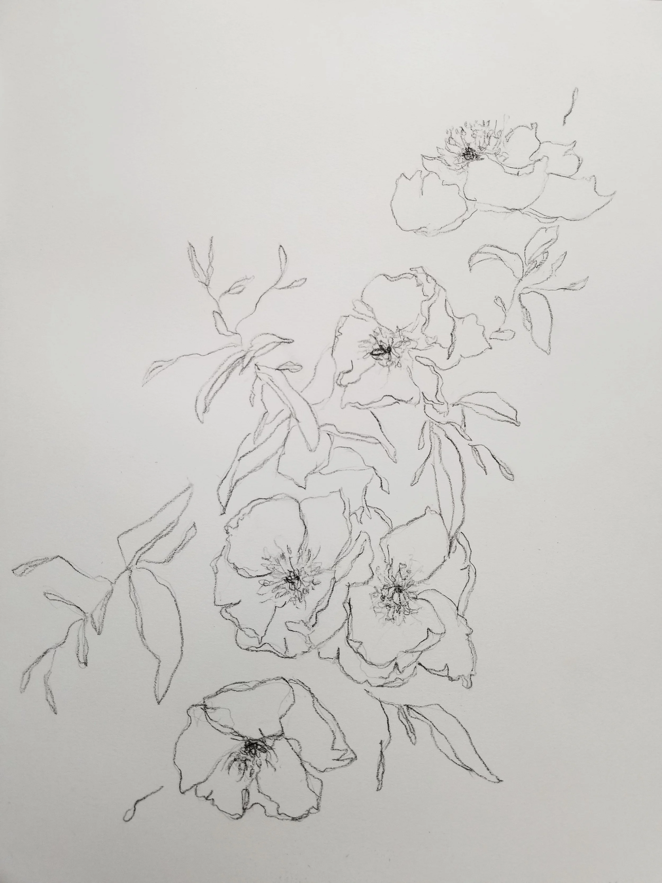 20190624_140908-01.jpeg