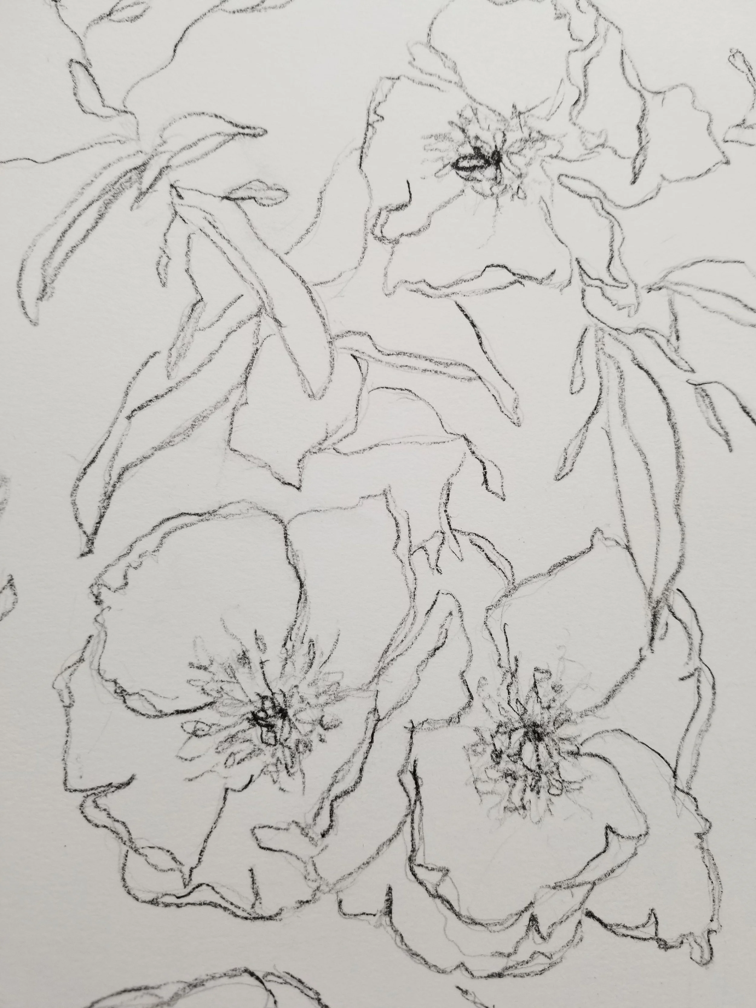 20190624_140921-01.jpeg