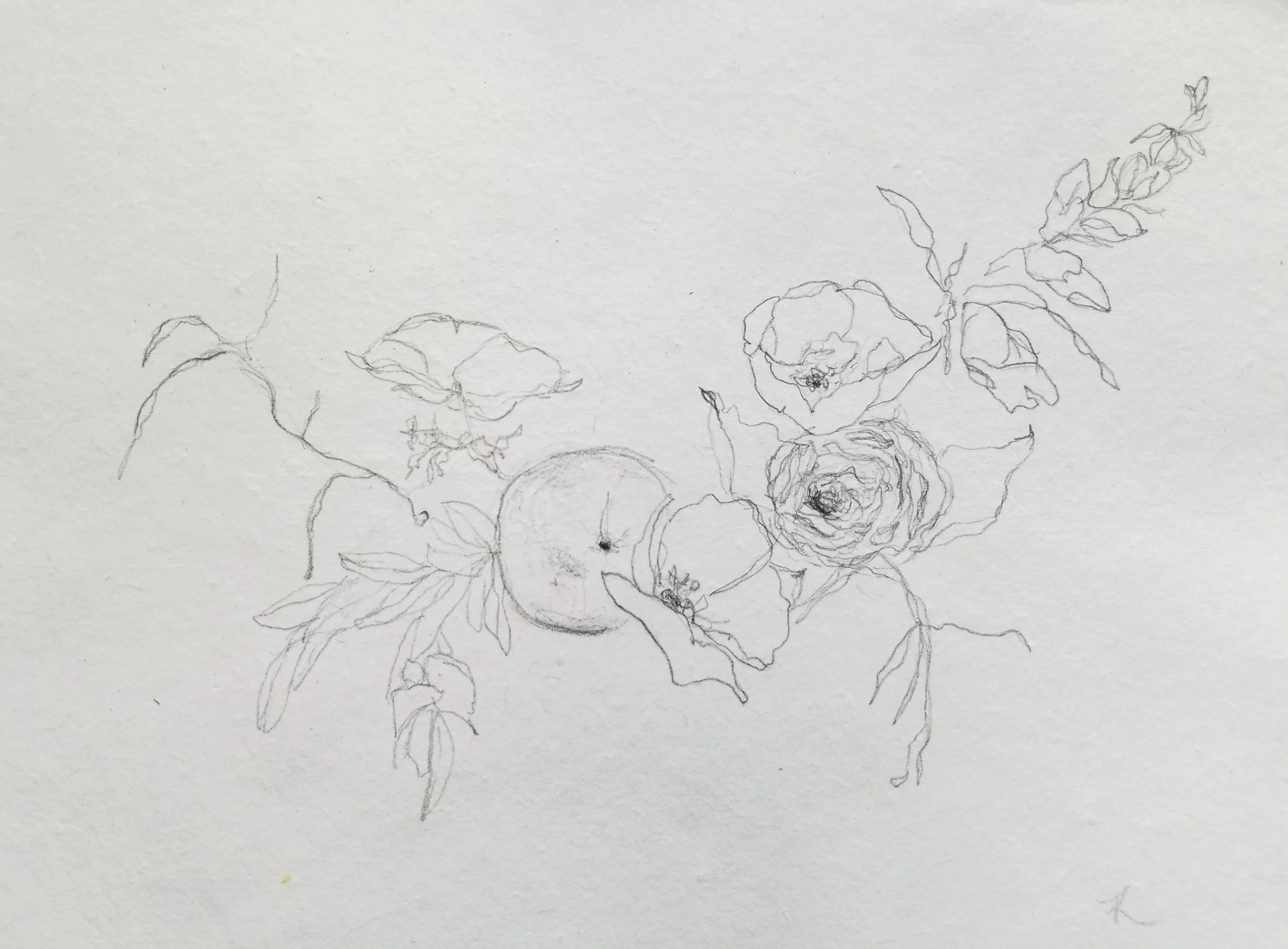 20190624_140953-01.jpeg