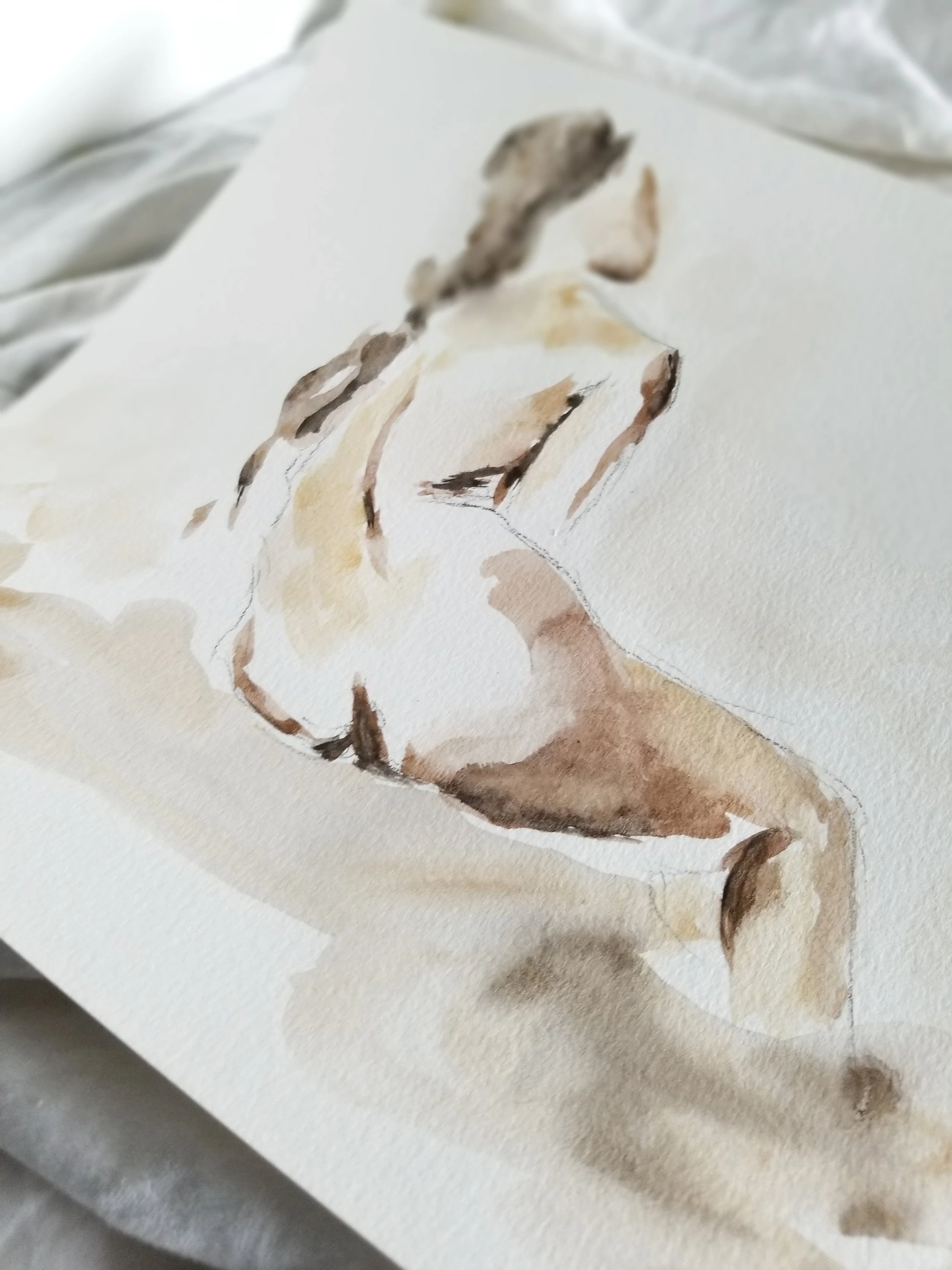 20190711_152736-01.jpeg
