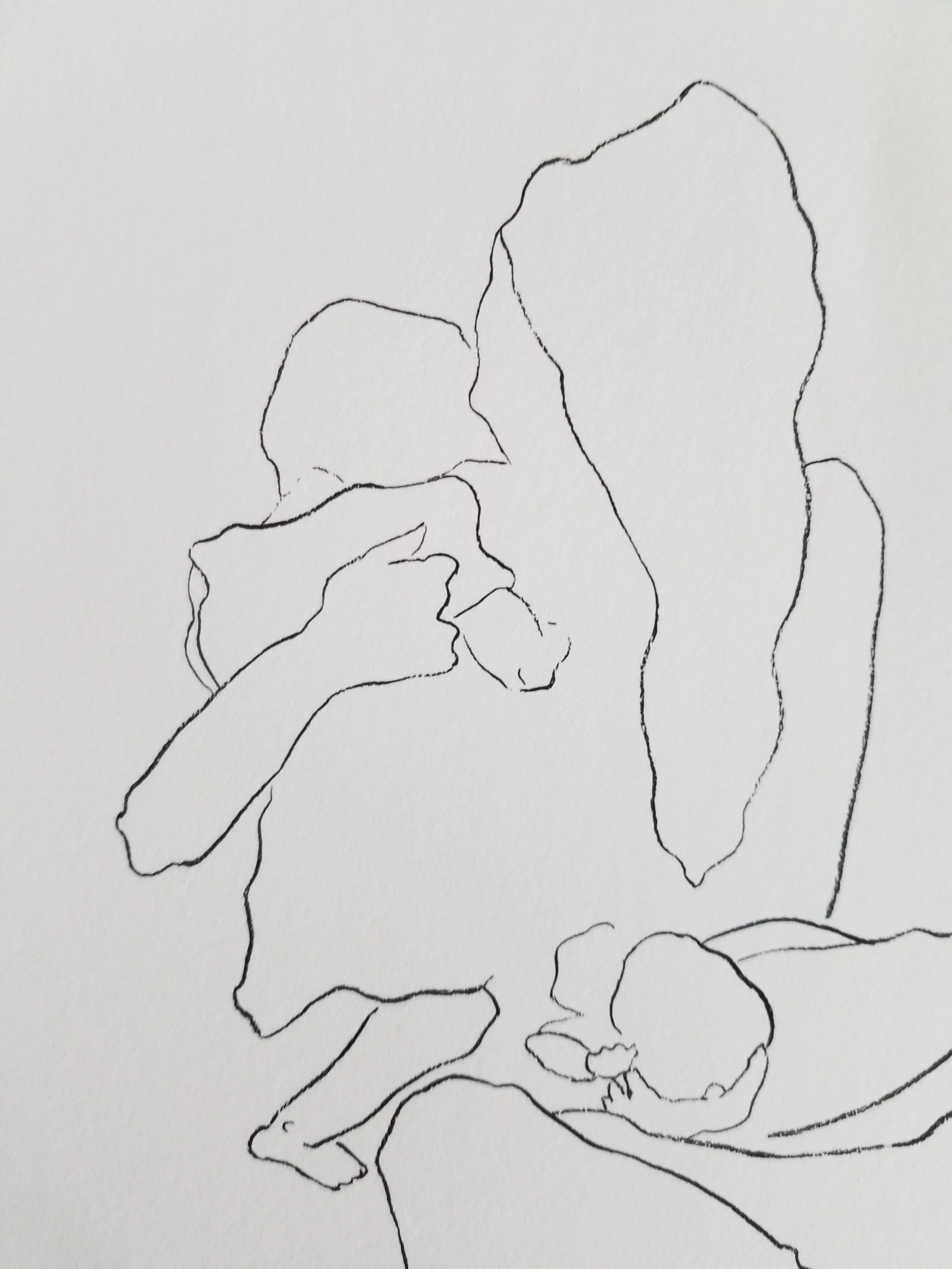 20190804_114257.jpg