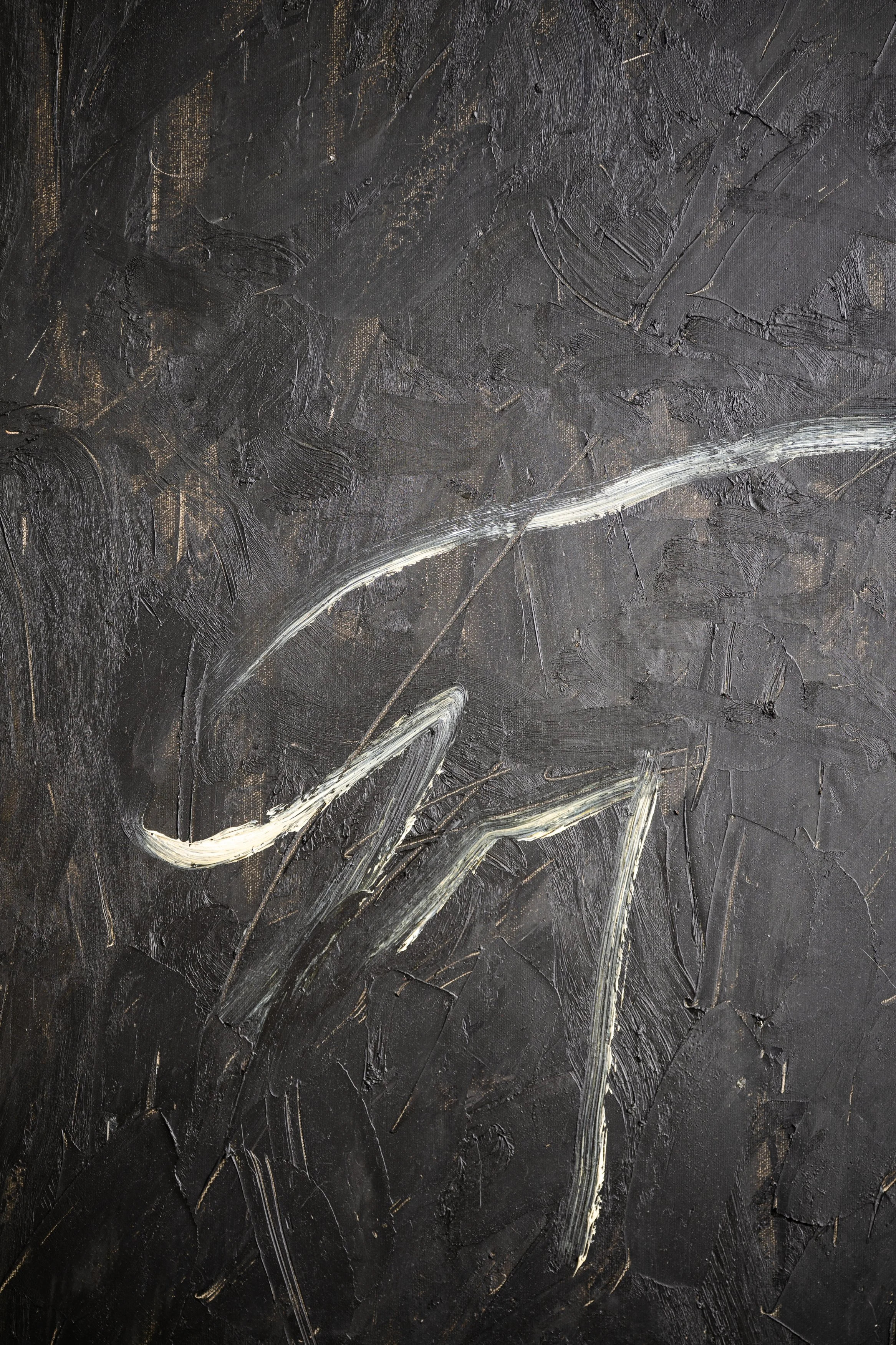 Shan Deutscher - Kayle Gale Campbell Feb 2026 - 7477.jpg