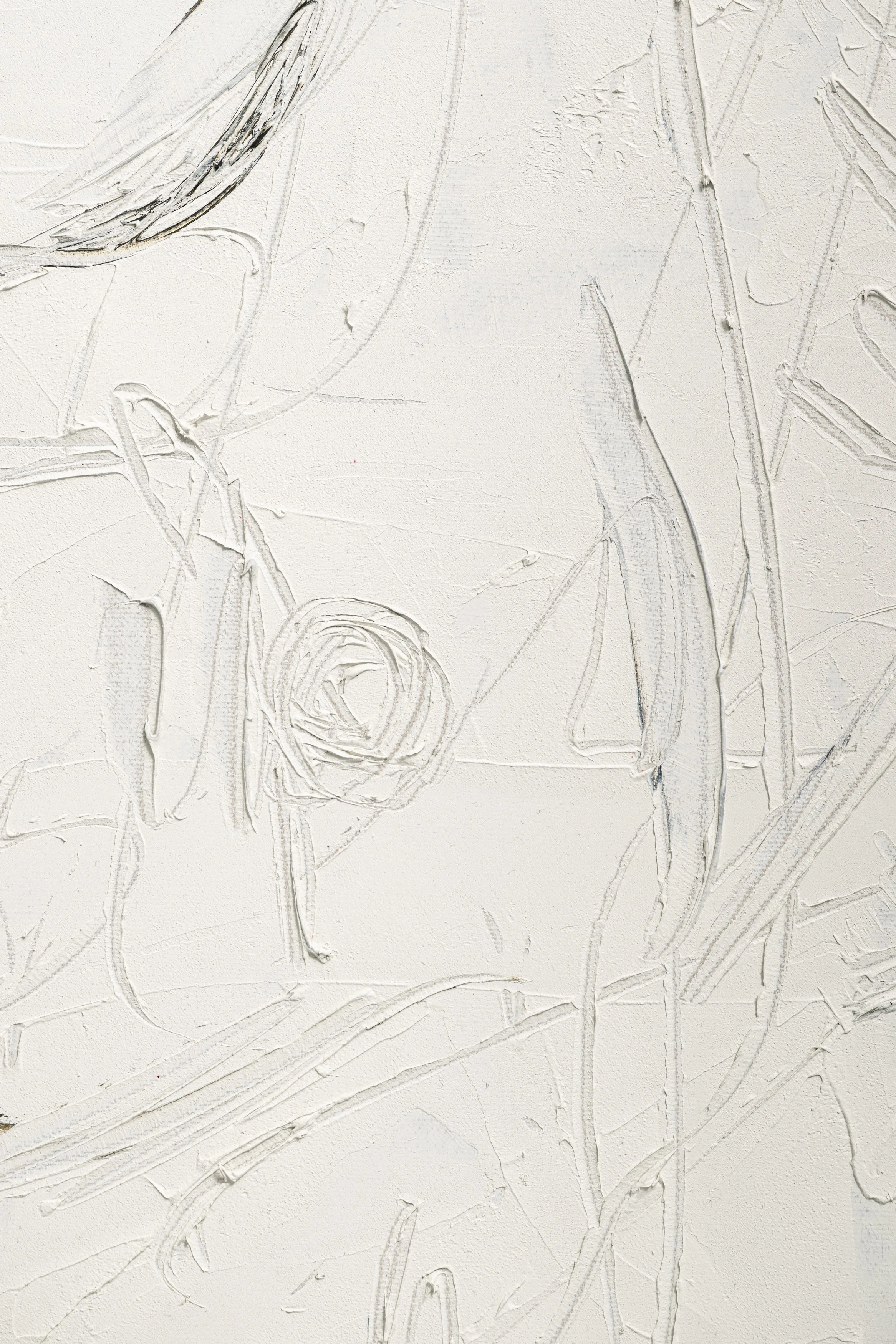 Shan Deutscher - Kayle Gale Campbell Feb 2026 - 7489.jpg