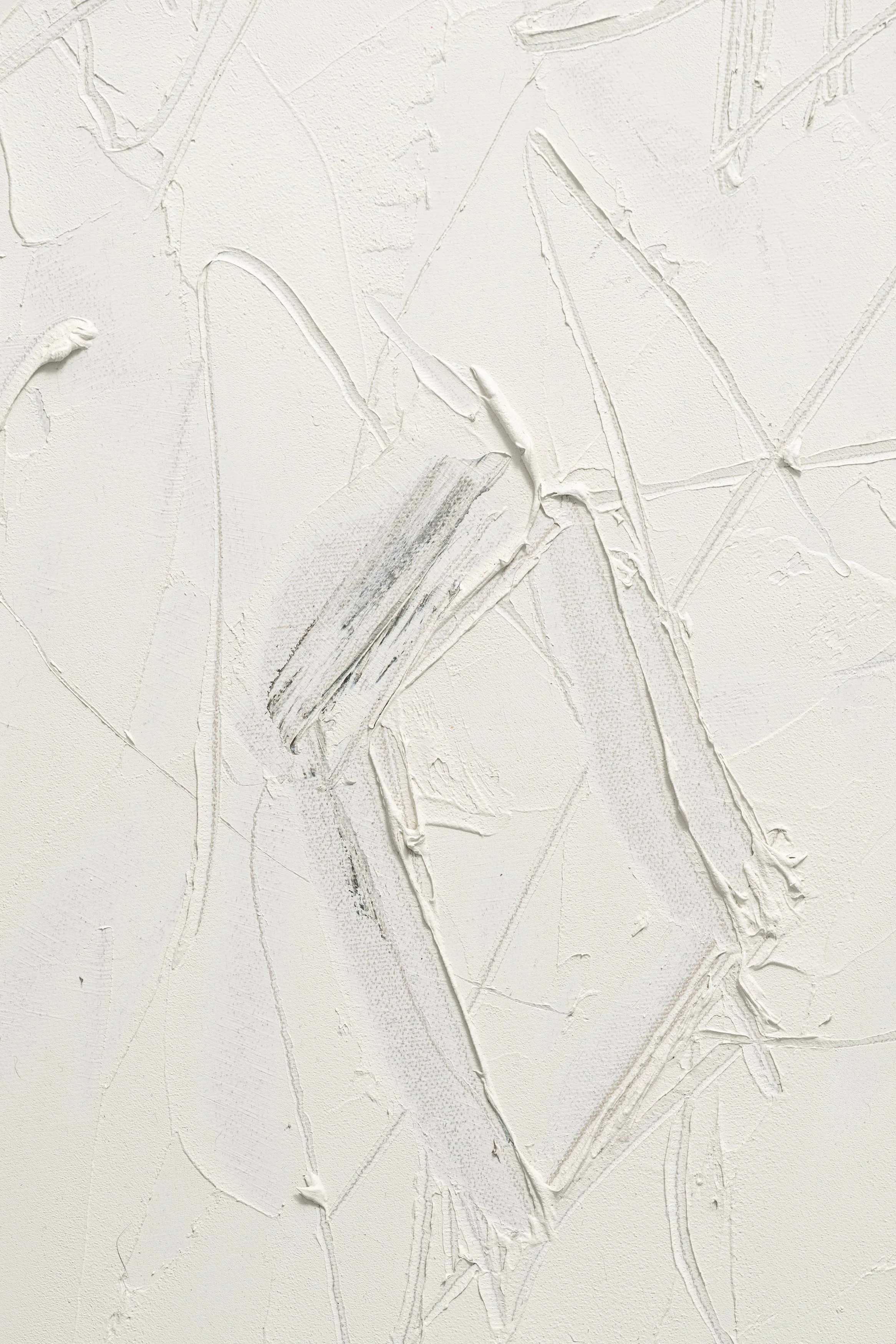 Shan Deutscher - Kayle Gale Campbell Feb 2026 - 7495.jpg