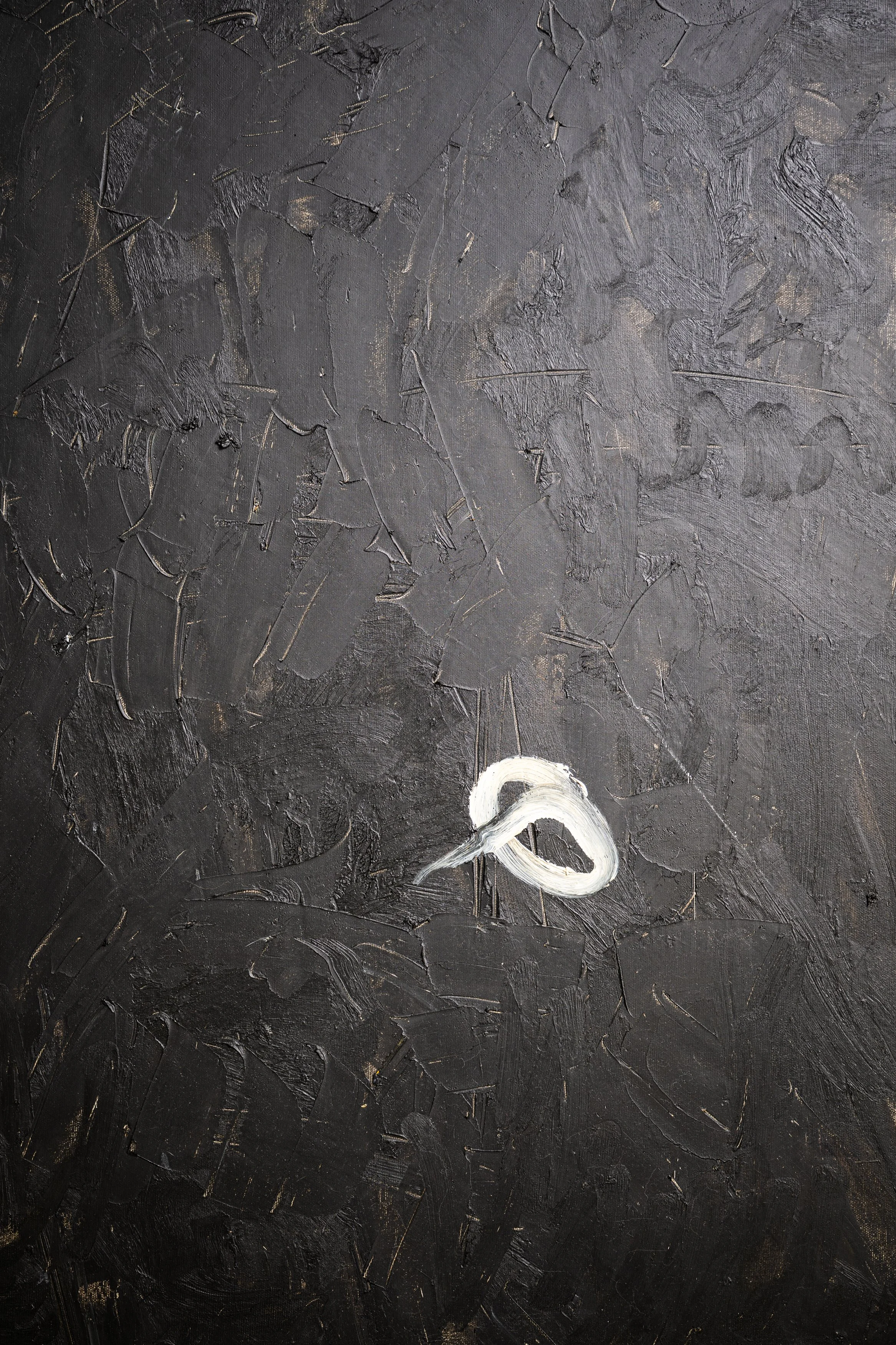 Shan Deutscher - Kayle Gale Campbell Feb 2026 - 7476.jpg