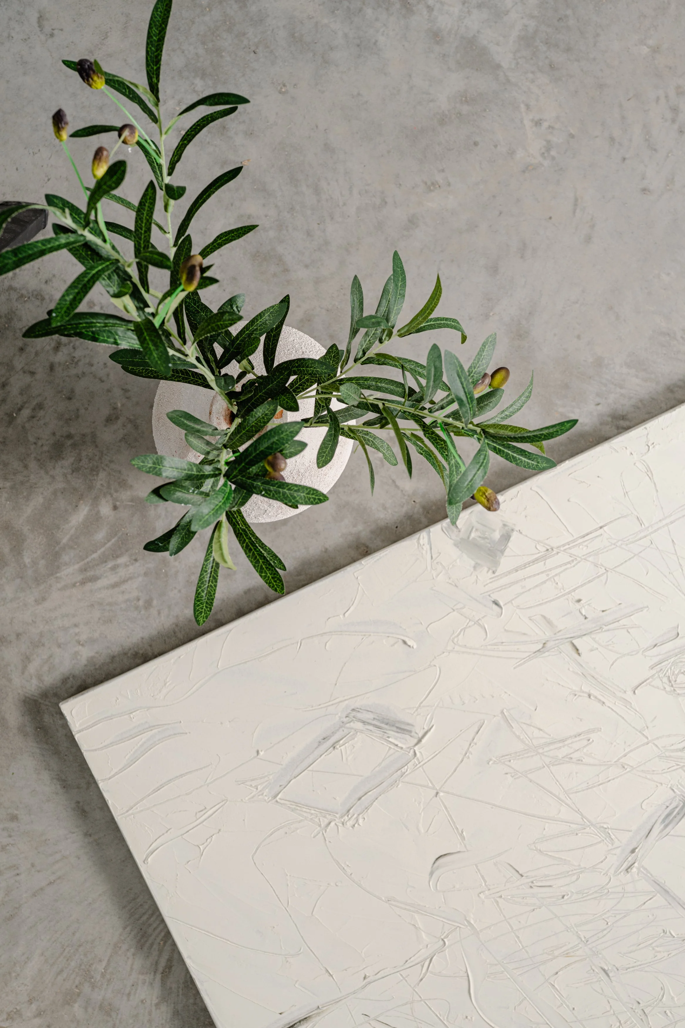 Shan Deutscher - Kayle Gale Campbell Feb 2026 - 5802.jpg