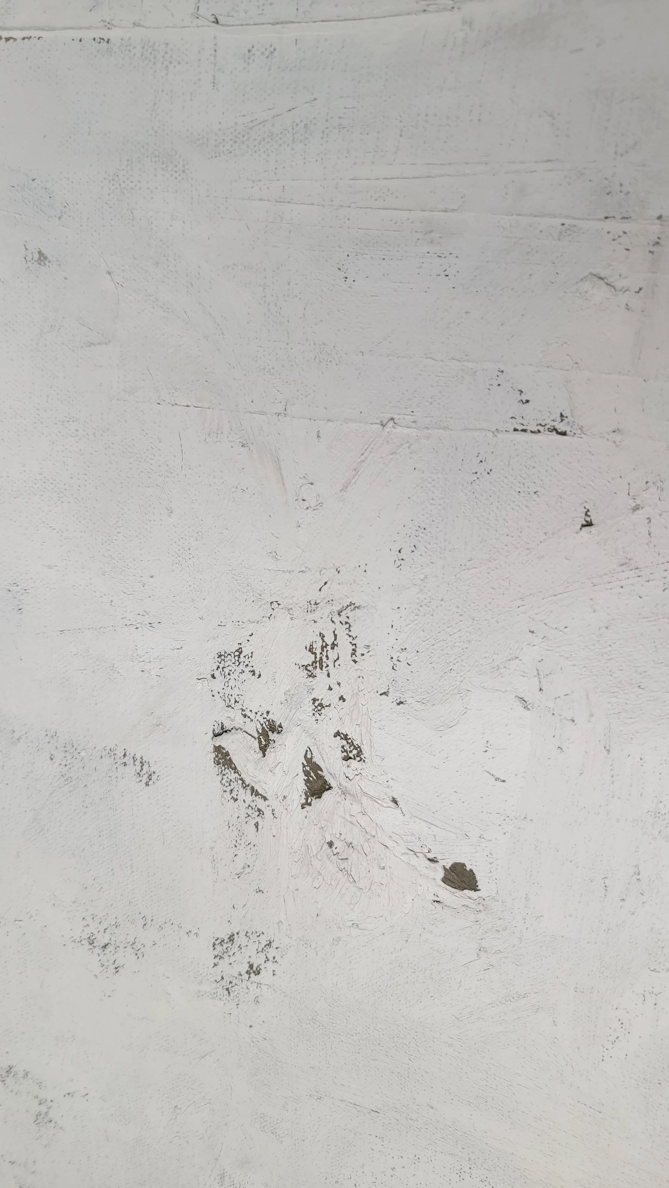 1000064534.jpg