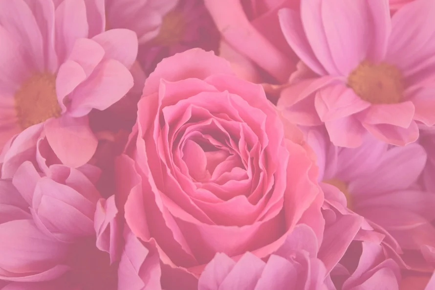 rose background copy.jpg
