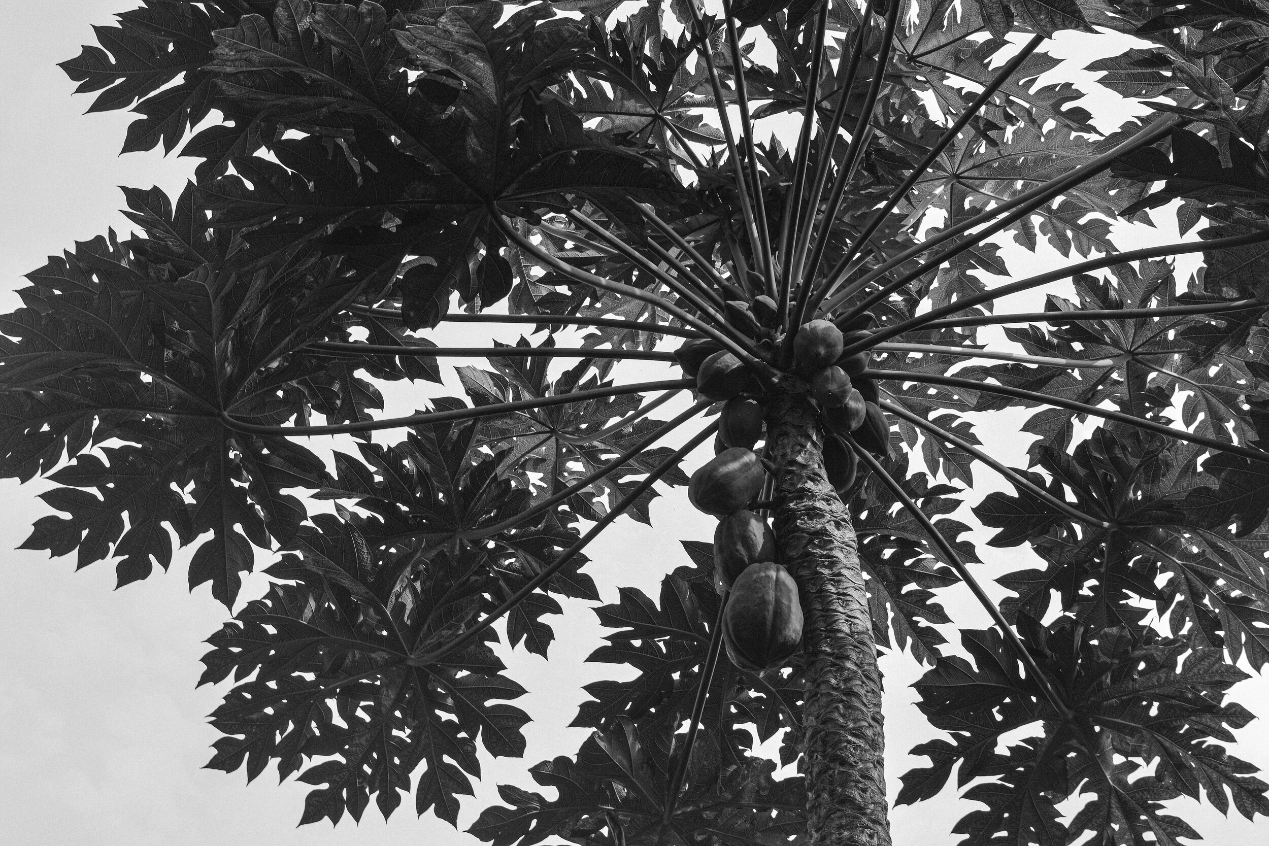 7312F7F9-09C5-4FE9-B736-D0E4724367F4