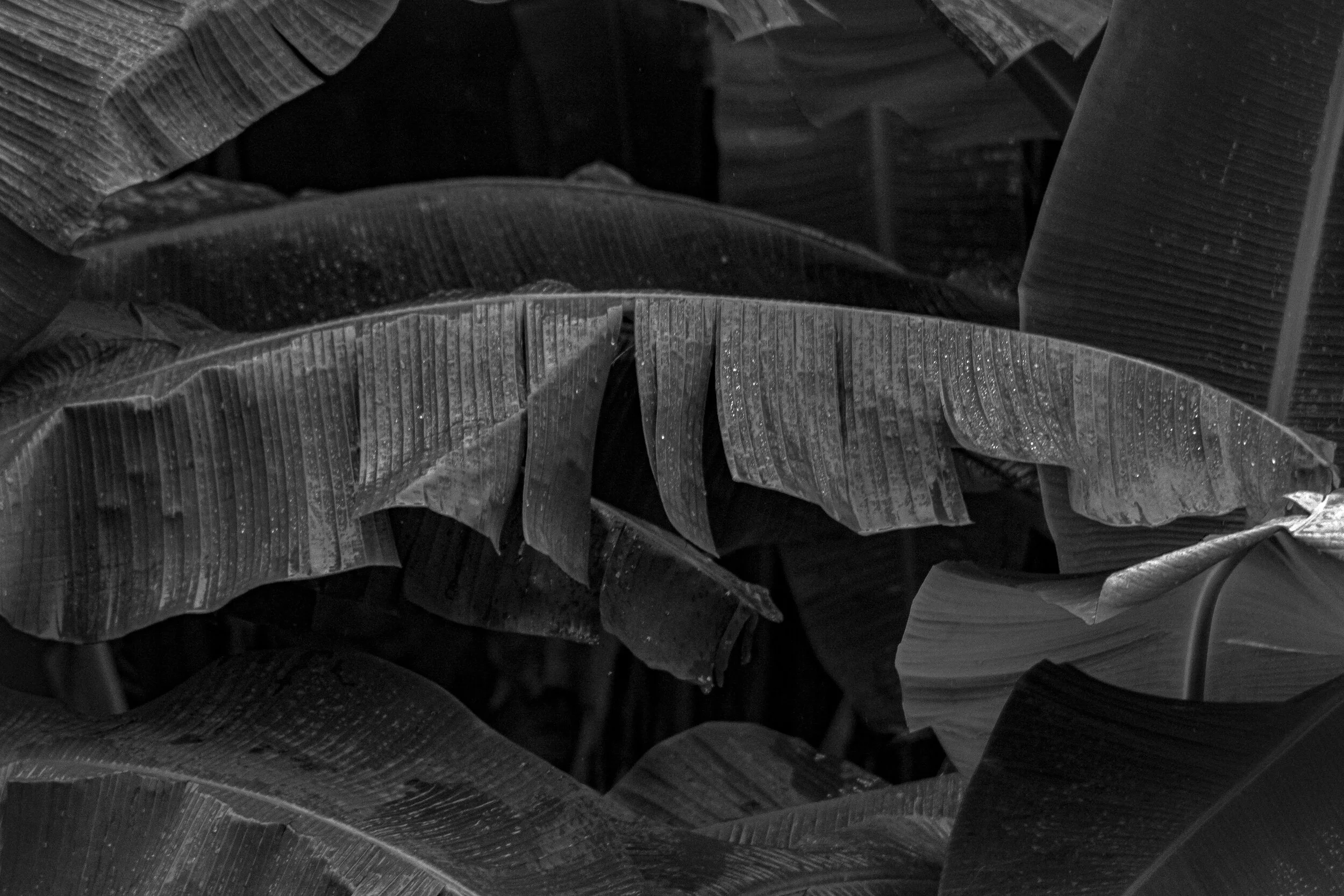 9F41D1BE-FA78-49BC-98DB-974447556B98