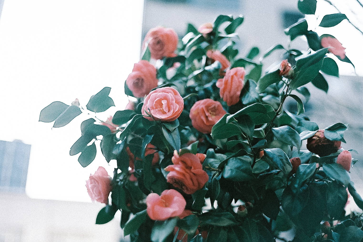 20170417-000008.jpg