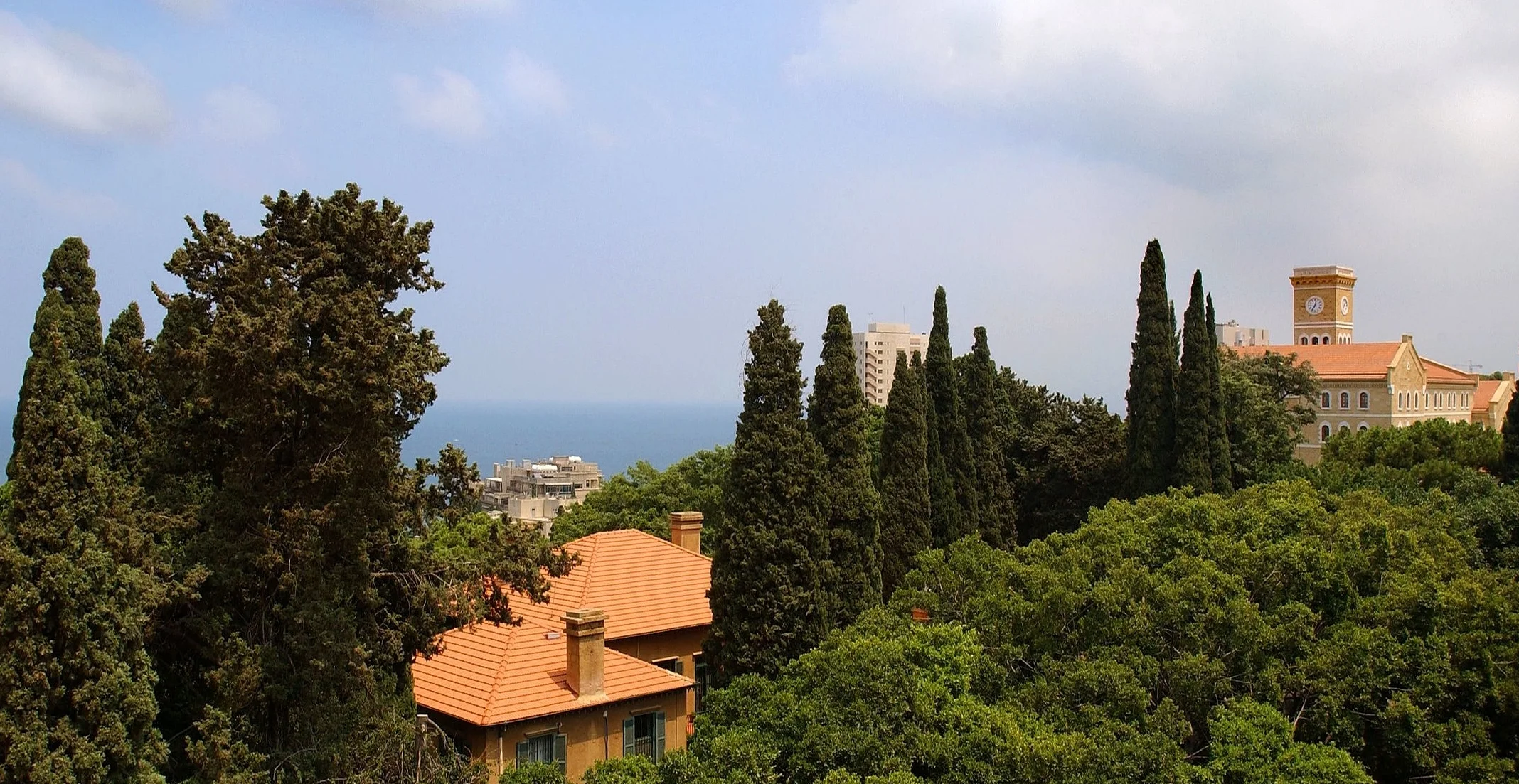 Aerial View AUB Campus.jpg