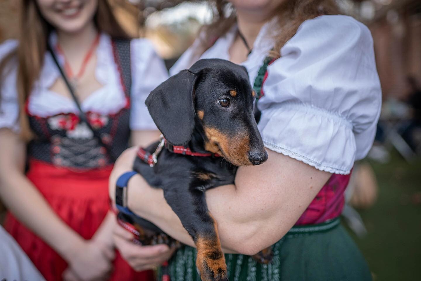 We are pet-friendly here at the Hahndorf Inn 🐶🐱 

Feel free to book our Laneway, Beer Garden, or Street to accommodate you and your furry friends 😊

Booking available in bio 🙌🏻

&bull;
&bull;
&bull;
&bull; 

#hahndorfinn #adelaide #tourismadelai