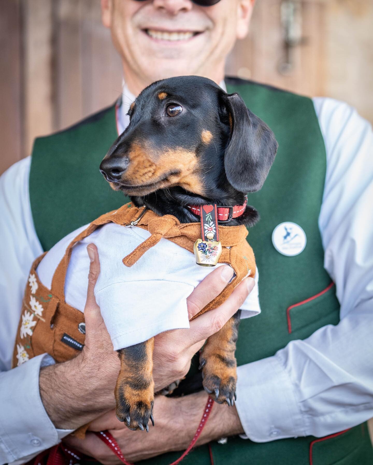 Have you ever seen such a well-dressed pup? 😆

Our lovely performers @heidihermanaccordion and their gorgeous puppy @hugo_of_hahndorf were at the Inn over the weekend!

If you&rsquo;re looking to bring your furry friend to the Hahndorf Inn, we have 