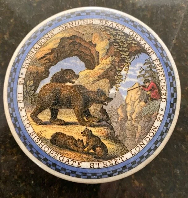 Have you ever seen a bald bear?