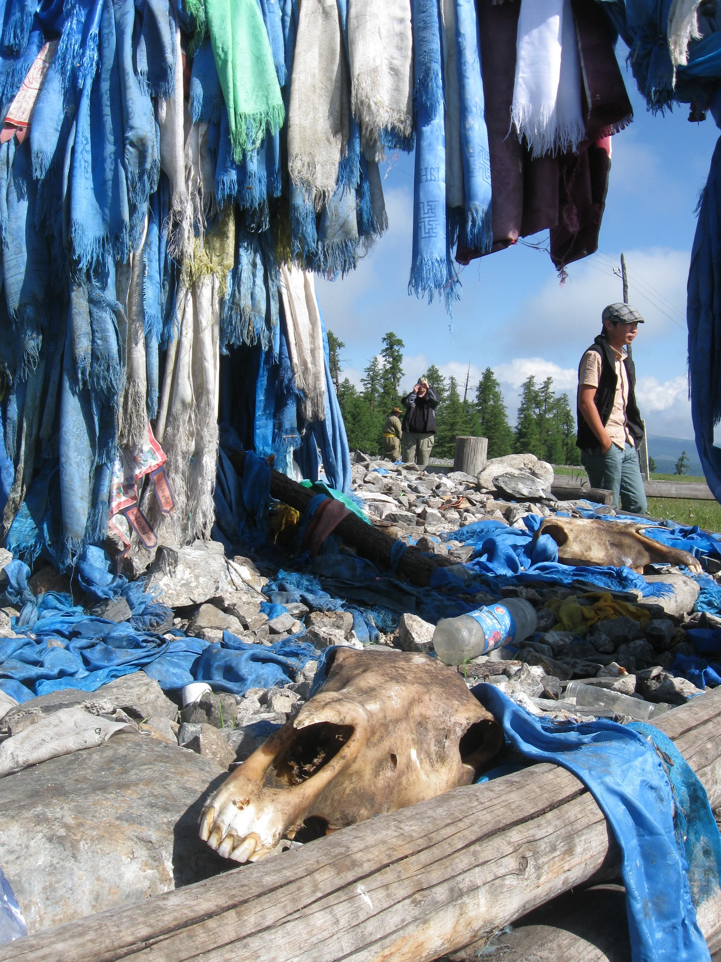 Horse Skull Incorporated into Modern Feature