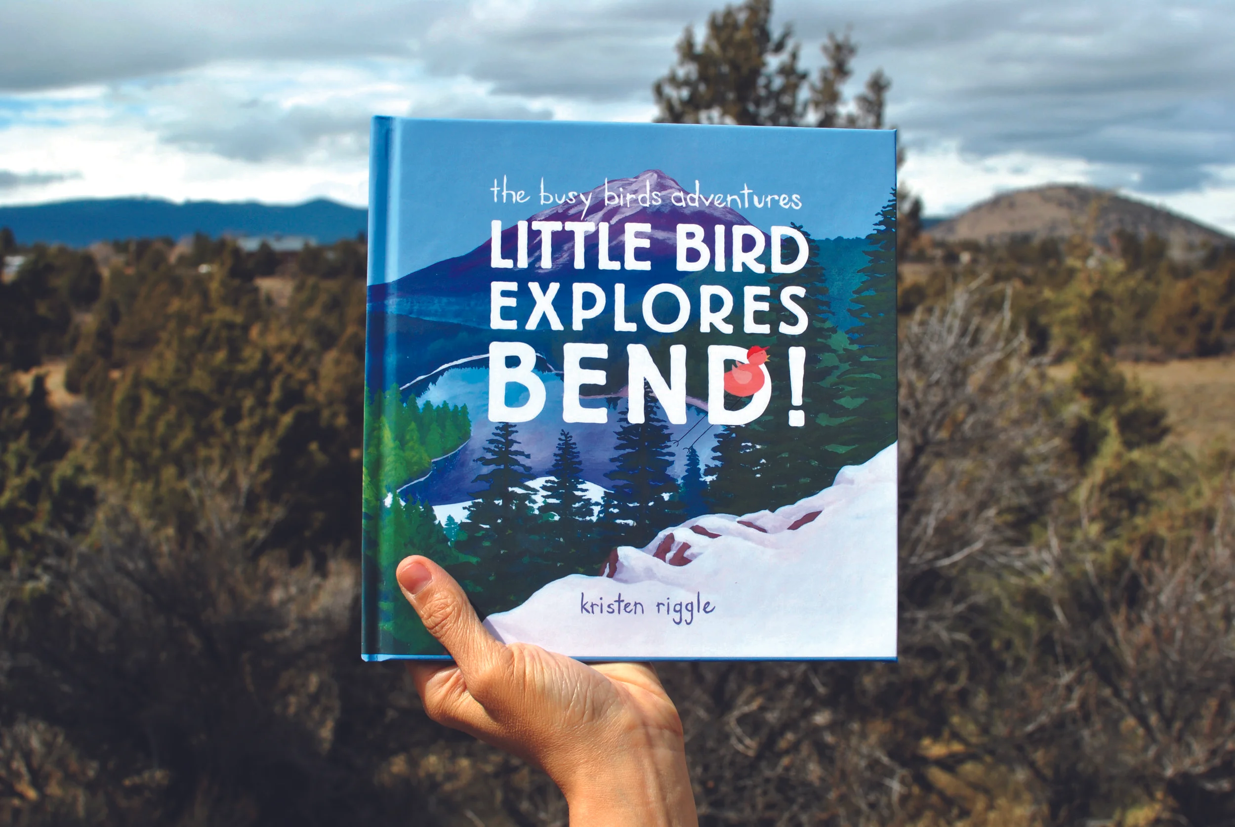 Book cover 2.jpg