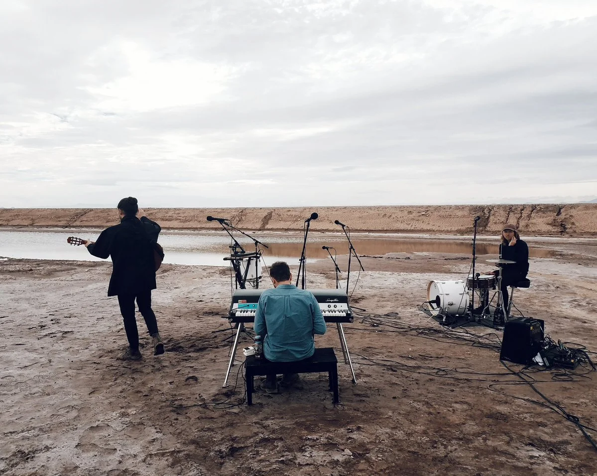 local natives earthworks.jpg