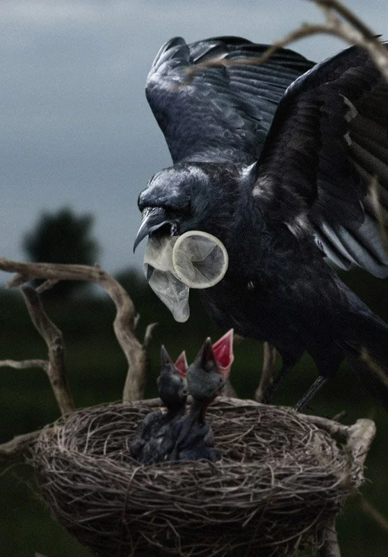 Agan Harahap (ID): Fun At Funerals