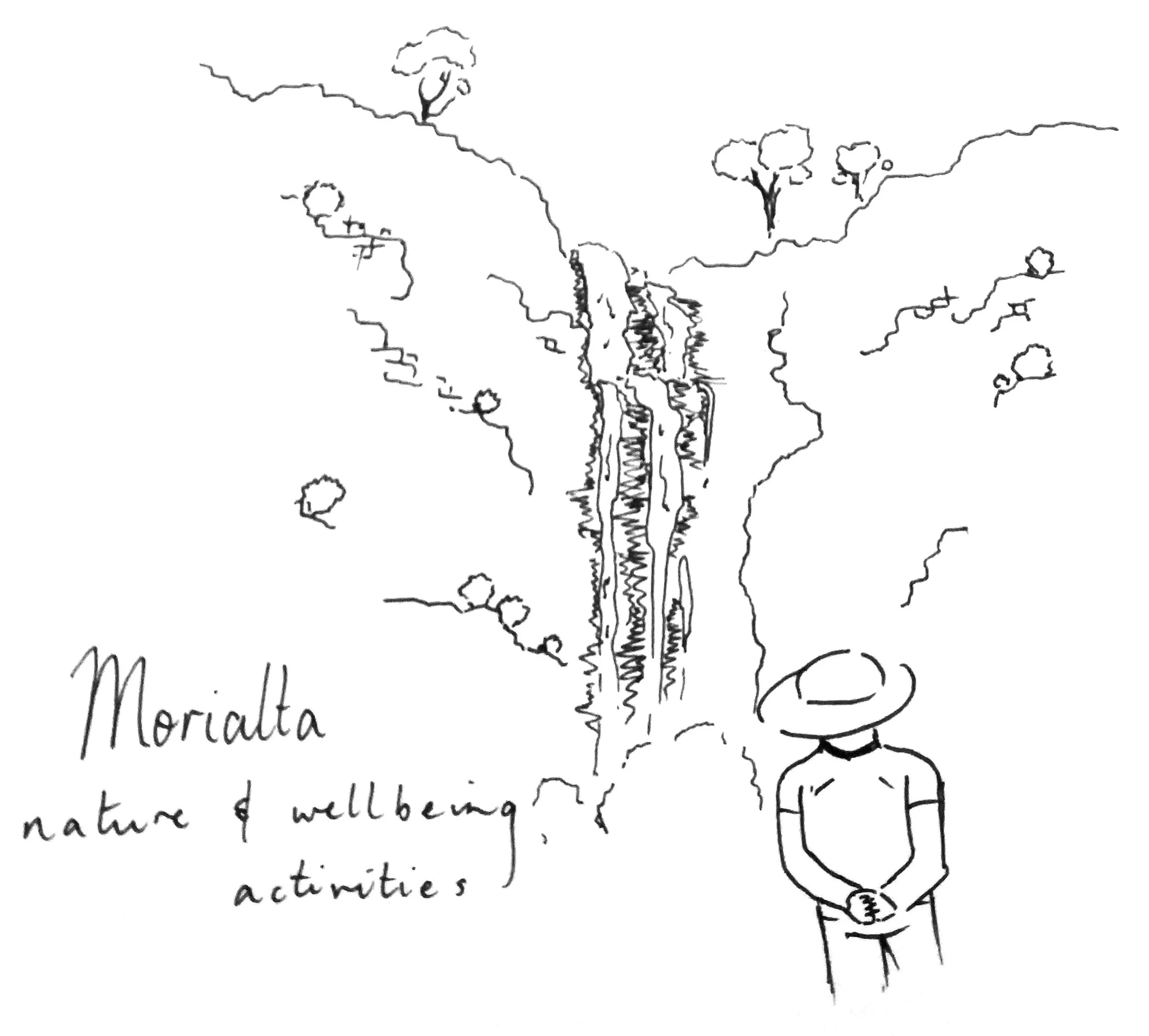 Noticing nature in Morialta