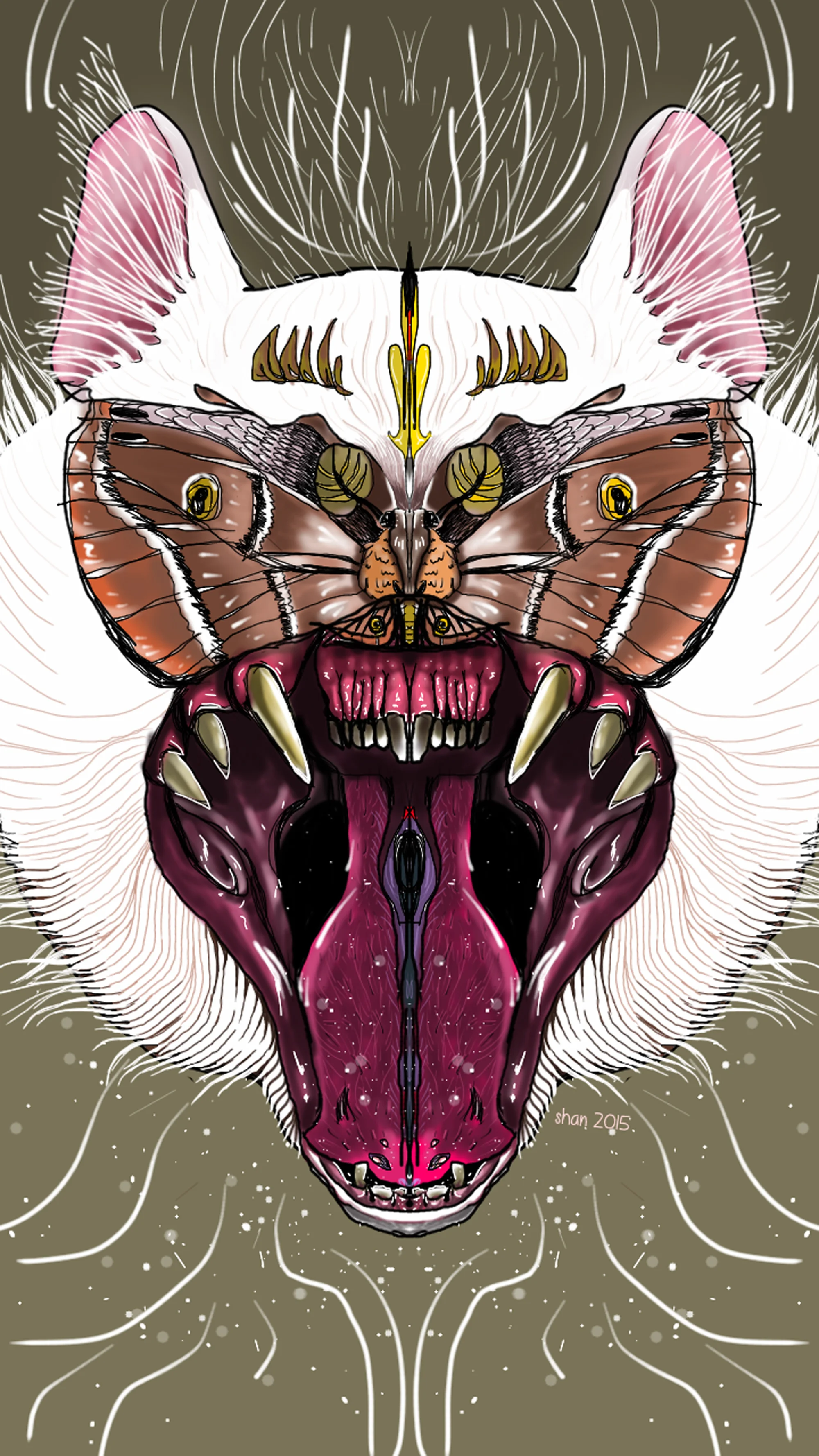 mothcat.jpg