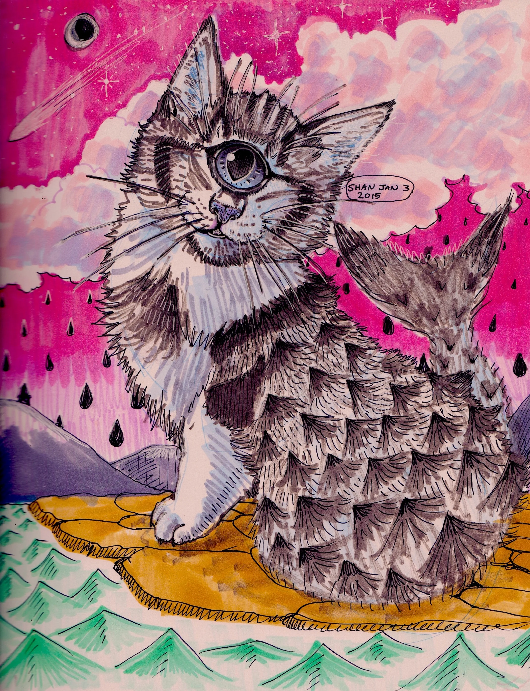 cat 2 copy copy.jpg