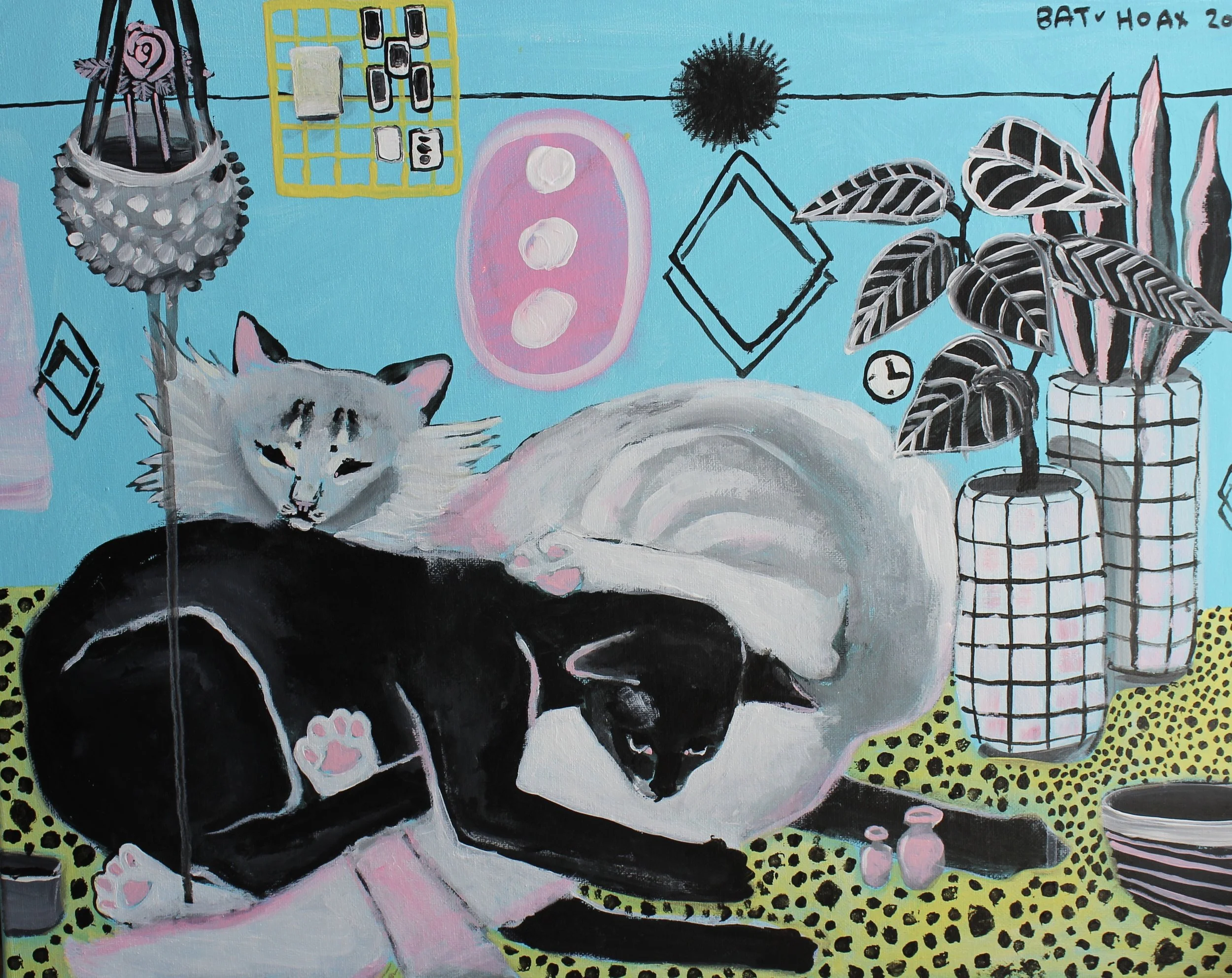 Kitty Companionship