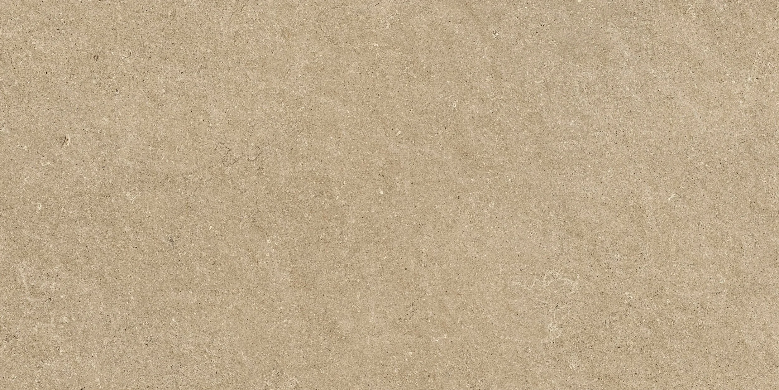 MORVAN+NOBLE_PV013%404.jpg