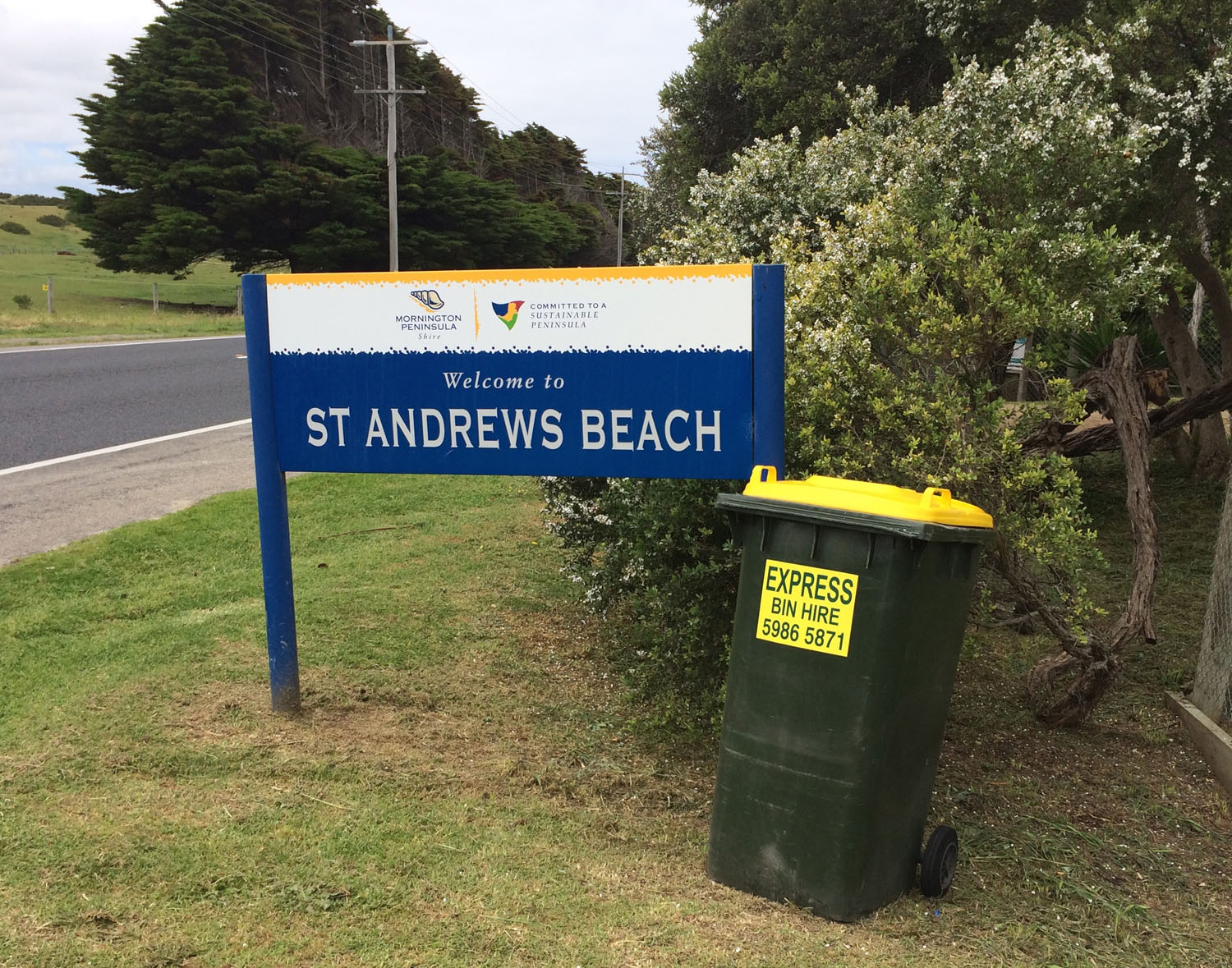 standrewsbeach.jpg