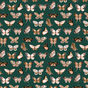 Butterflies (Forest)