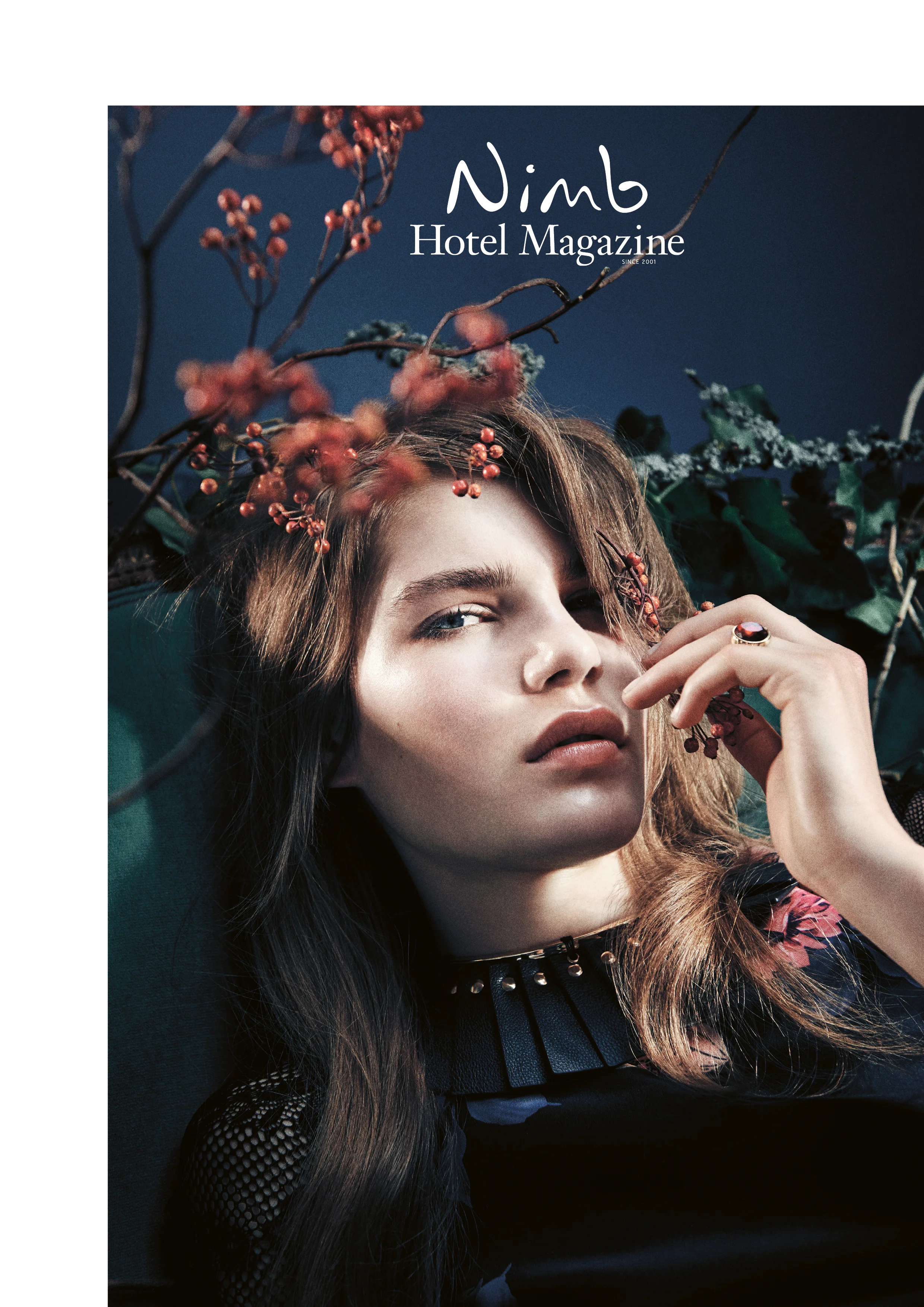 Nimb-Cover.jpg